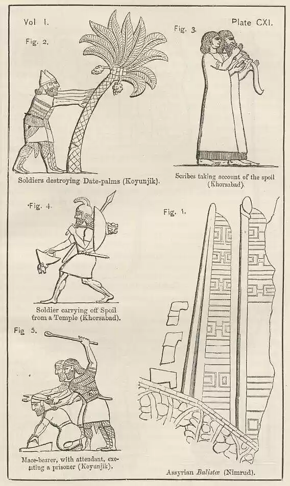 plate111
